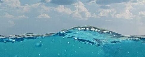 underwater, sea, wave, sky, seabed, diving, nature, swim, animal, underwater world, deep, underwater, underwater, underwater, underwater, underwater, sea, sea